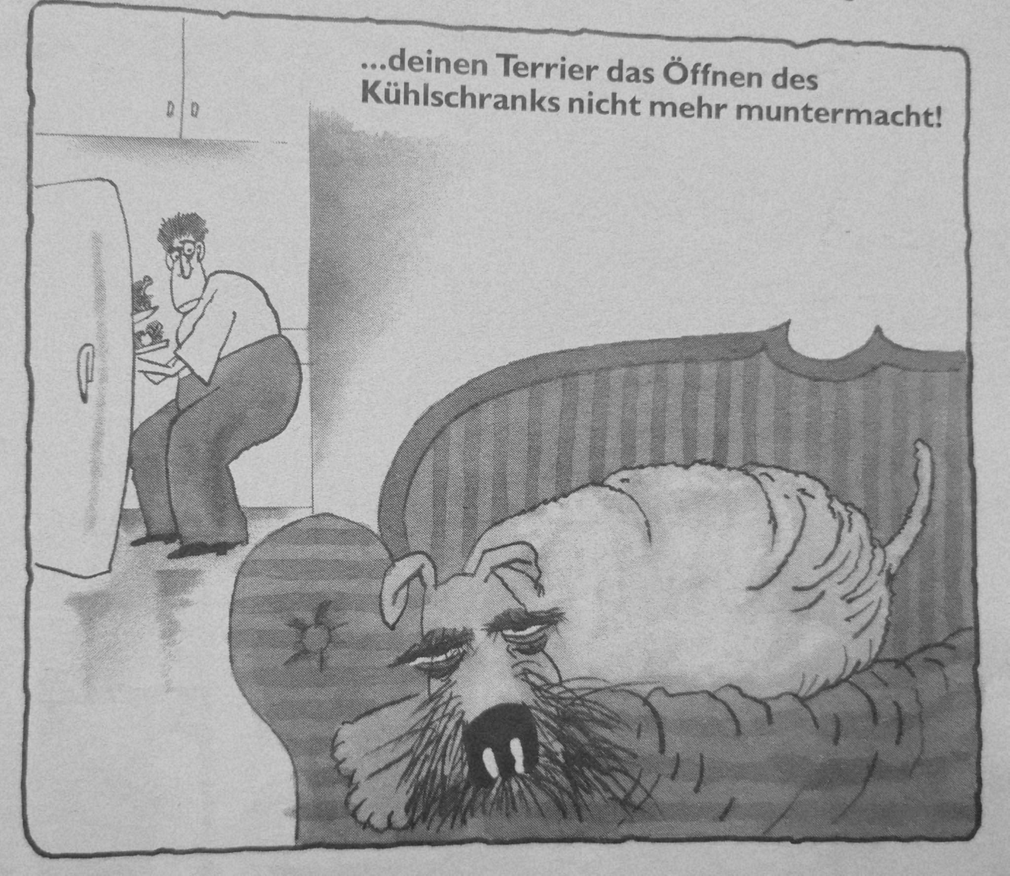 Senior Hund
